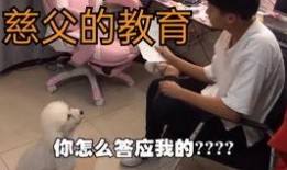 小潮院长原神爆料视频,小潮院长爆料视频深度解析