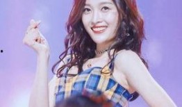 刘大锤最新爆料吴宣仪视频,真相究竟如何？